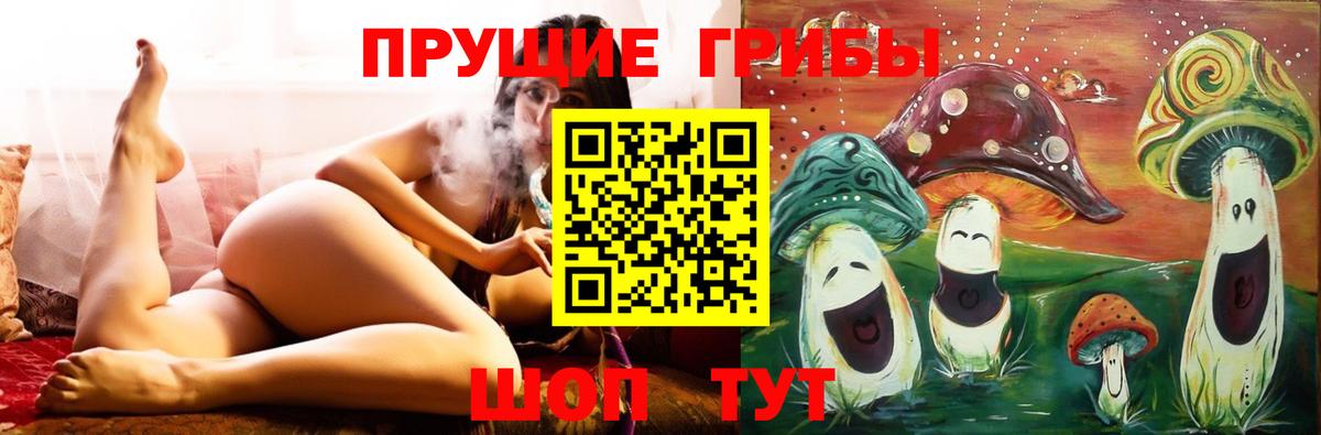 Дмитров  Псилоцибиновые грибы GOLDEN TEACHER  Вход с VPN 
