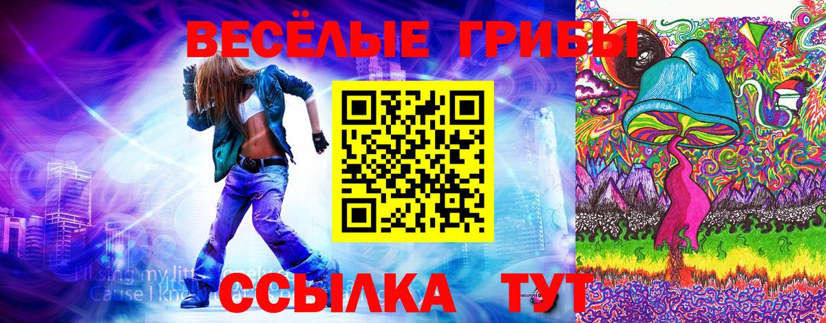 Галлюциногенные грибы мицелий Дмитров